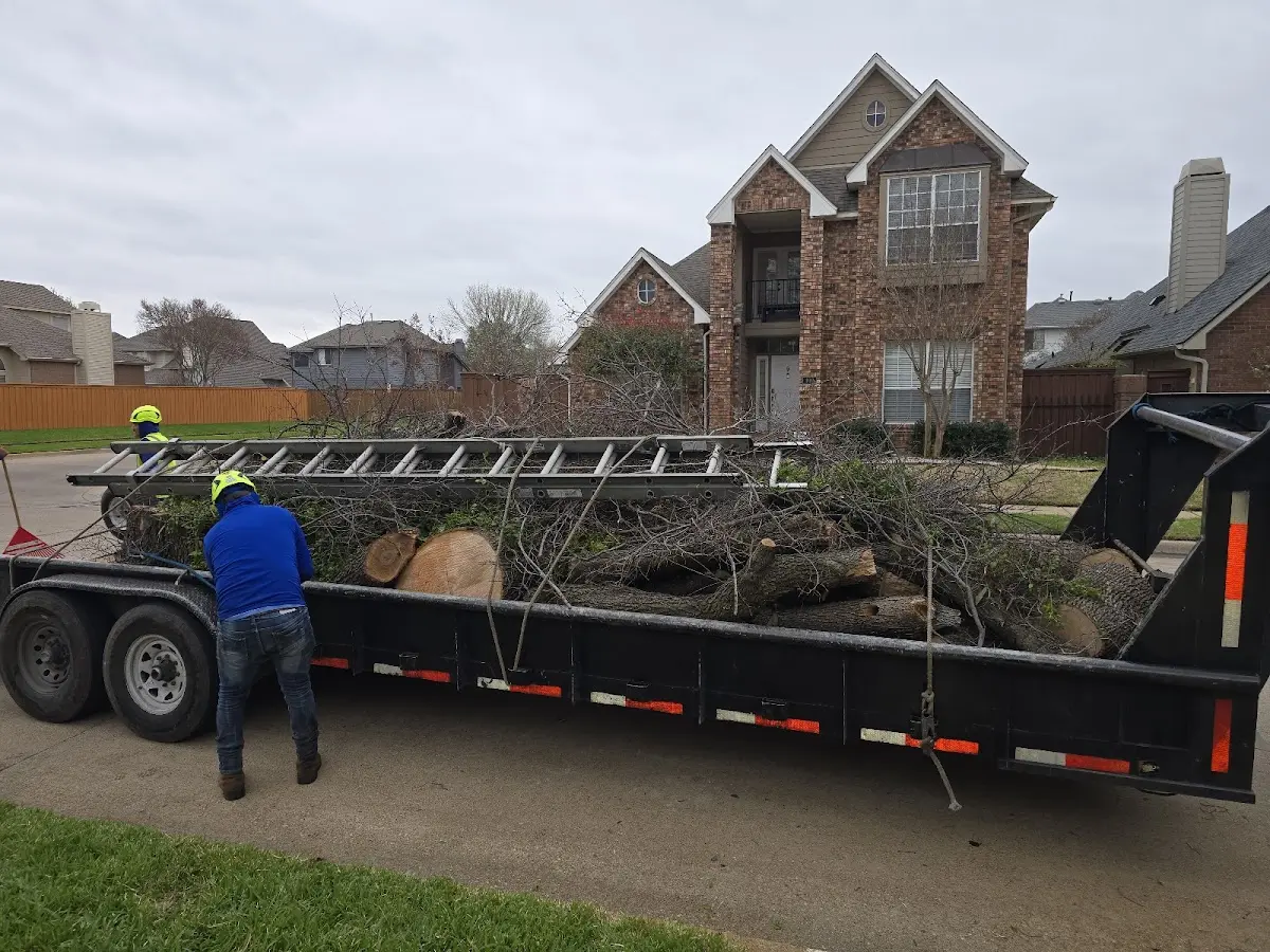 Expert Tree Removal with proper safety equipment in Truesdale